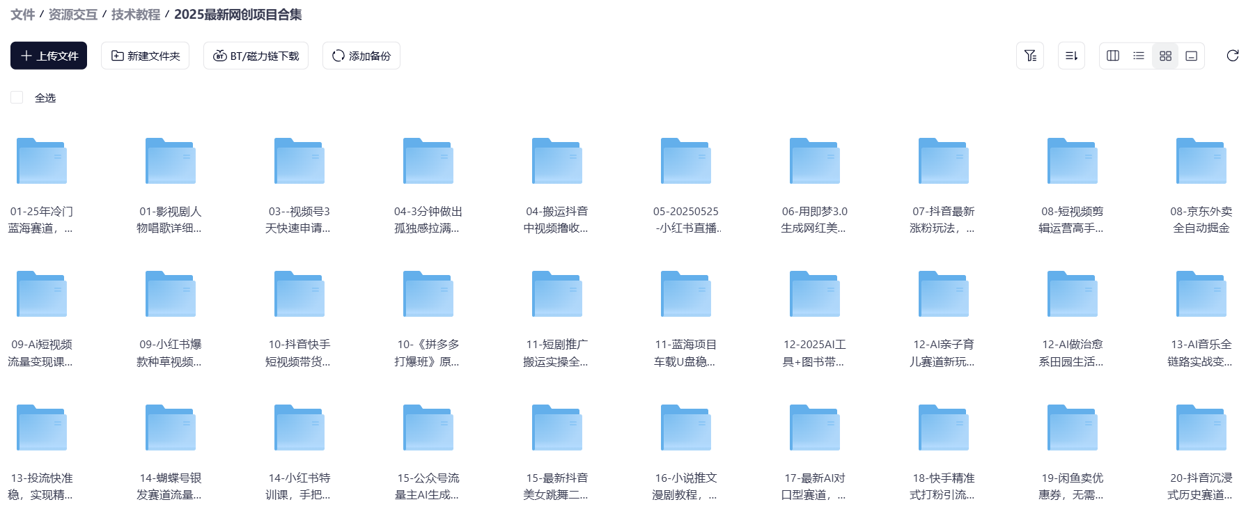 2025最新网创项目教程合集精选-飞哥资源交互